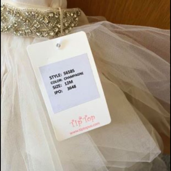 BRAND NEW - Champagne dress with rhinestone belt - Picture 3 of 3